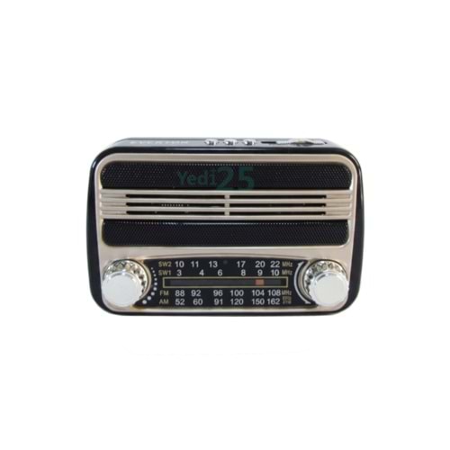 Everton RT310 Usb Radyo