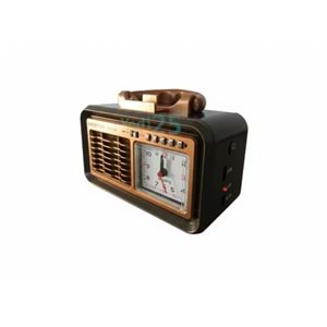 Everton RT749 Radyo