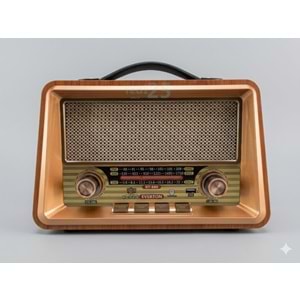 Everton RT680 Radyo